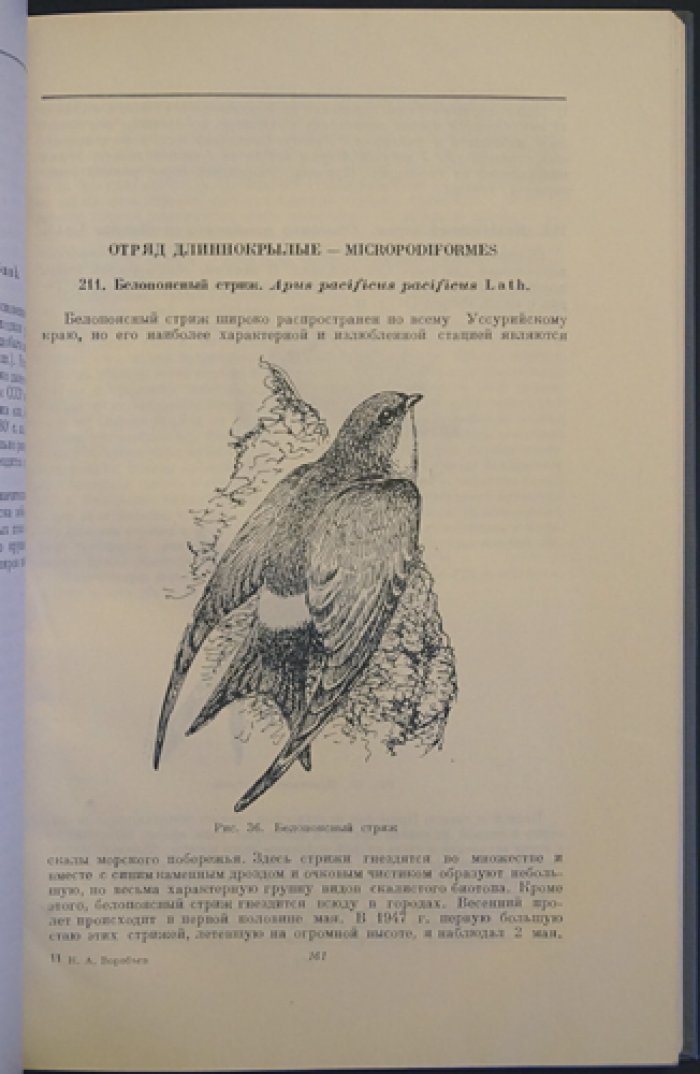 Птицы Уссурийского края. Систематический обзор и карты распространения (с цветными таблицами)