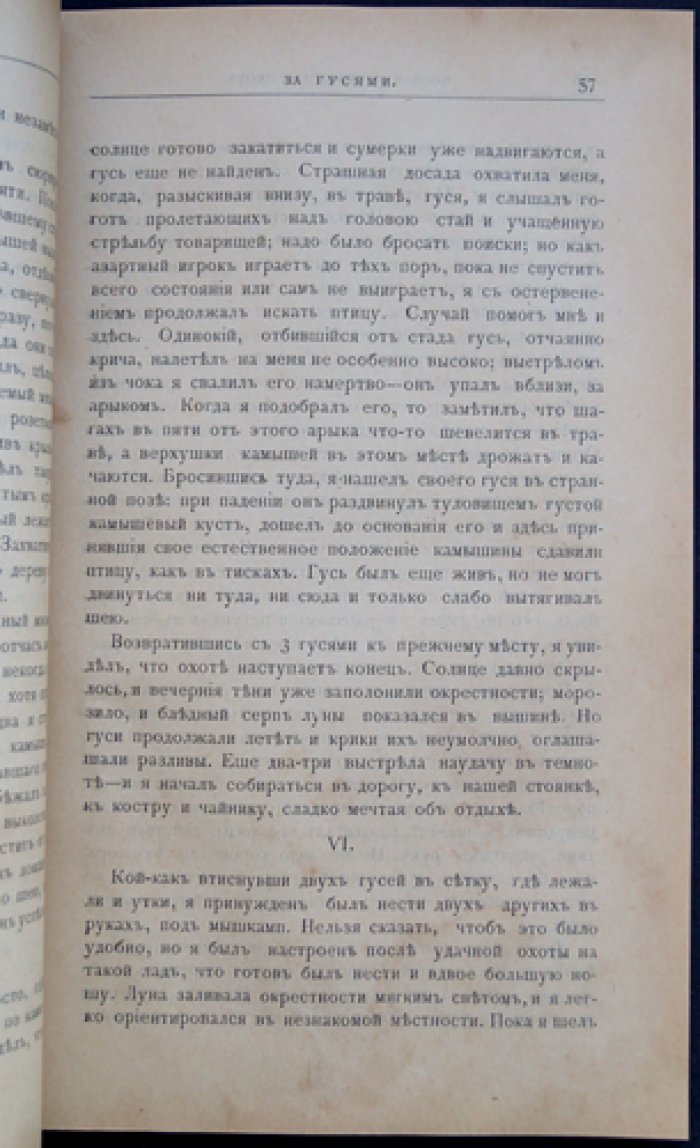 Псовая и ружейная охота. 1898. Книга II. Декабрь (журнал)
