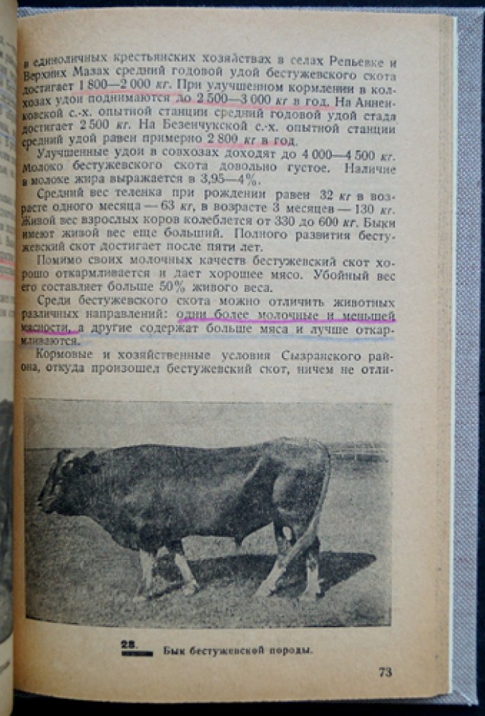 Плановые породы крупного рогатого скота СССР (с описанием 17 пород)