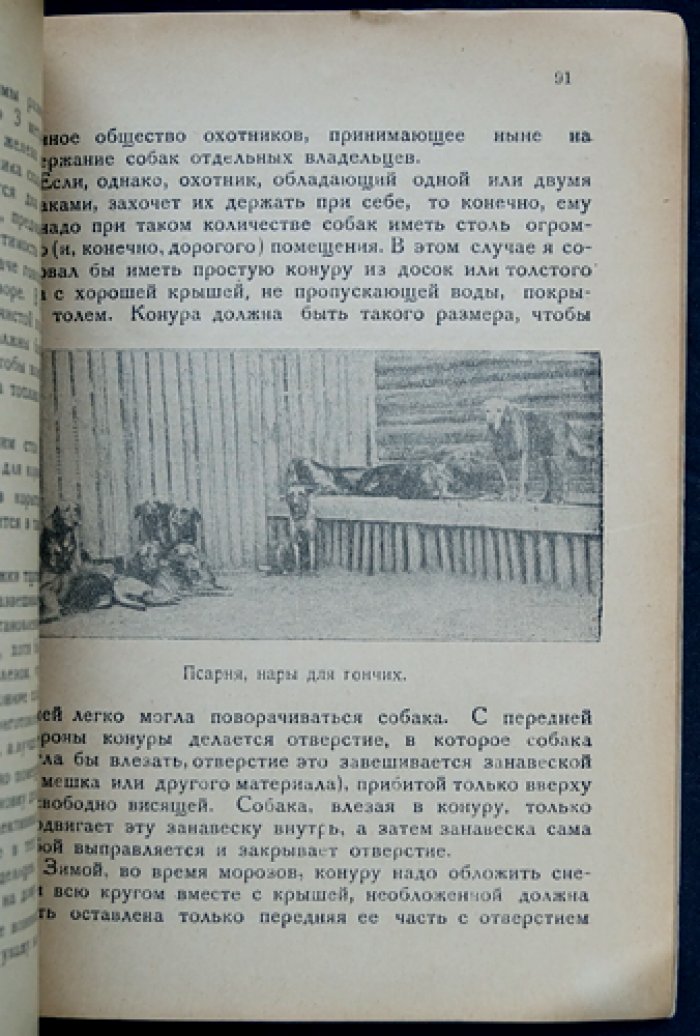 Гончая: воспитание, работа в псовой охоте и правила обращения с собакой (4-е издание)