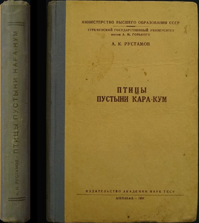 Птицы пустыни Кара-Кум: фауна, экология и орнитогеография (с иллюстрациями)