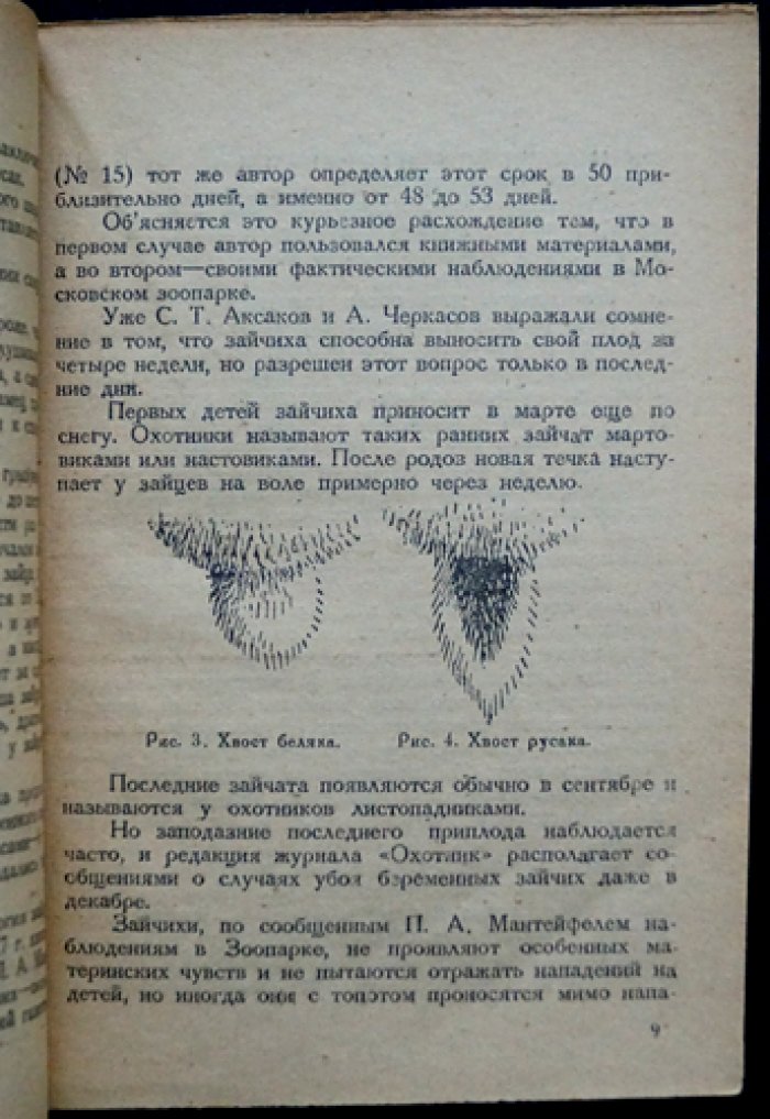 О зайце и его добывании: охотничья монография (издание 3-е, исправленное и дополненное)