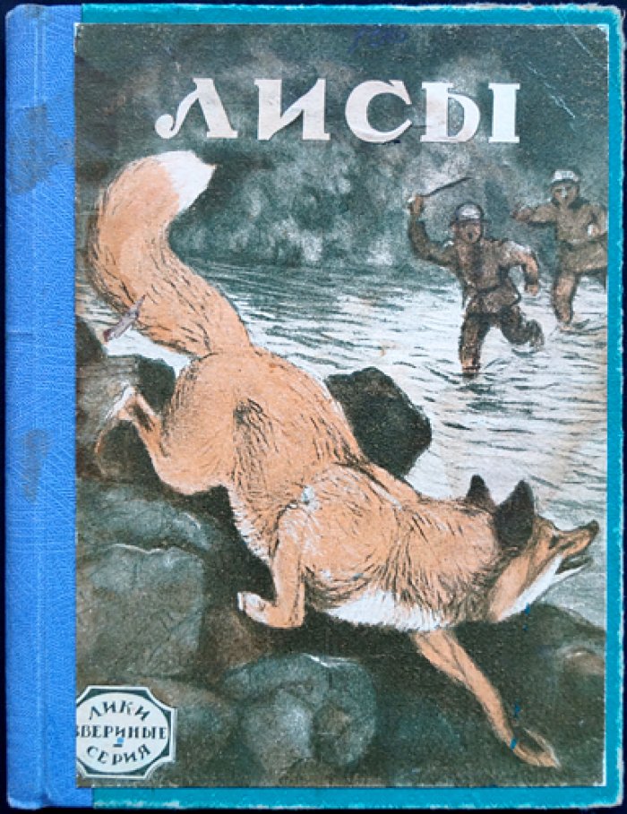 Лисы: необычайные рассказы о жизни ручных и диких лис
