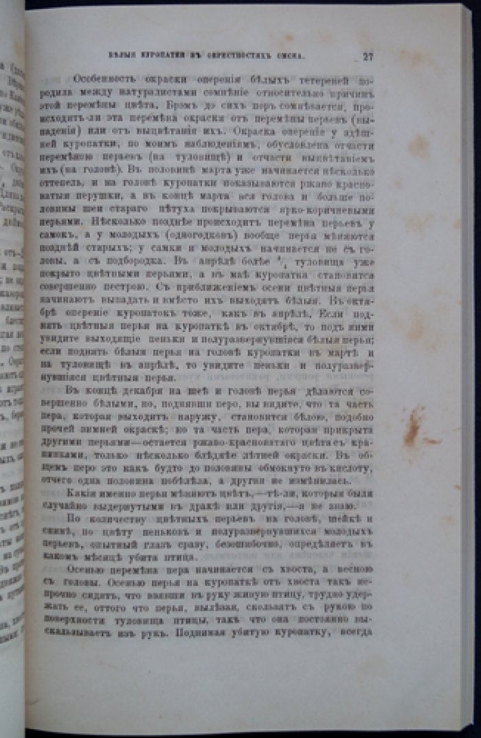 Природа и охота. 1885. № VII (Июль) — иллюстрированный журнал об охотничьем хозяйстве и промыслах