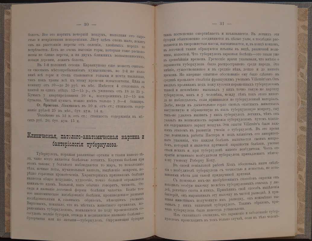 Спутник кумысника по Уфимской губернии: практическое руководство по кумысолечению и профилактике туберкулёза (2-е изд., переработанное)