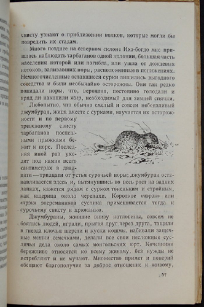 Формозов А.Н. В Монголии: очерк путешествия зоологического отдела Монгольской экспедиции Академии наук СССР