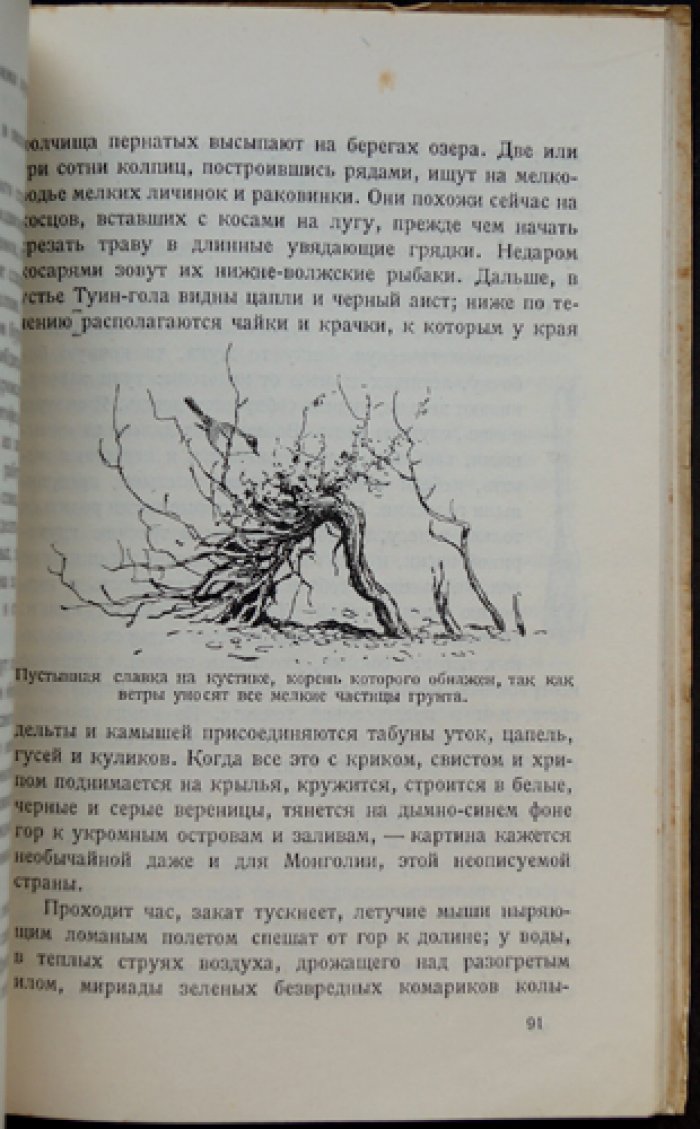 Формозов А.Н. В Монголии: очерк путешествия зоологического отдела Монгольской экспедиции Академии наук СССР