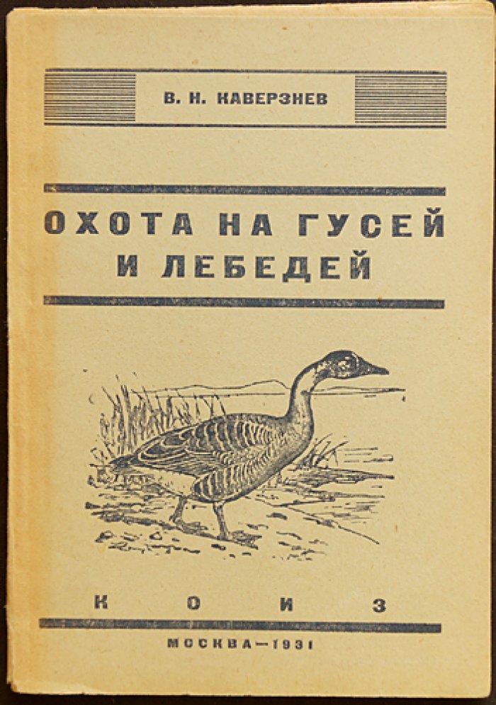Охота на гусей и лебедей: дикая фауна, способы охоты, чучела и профили