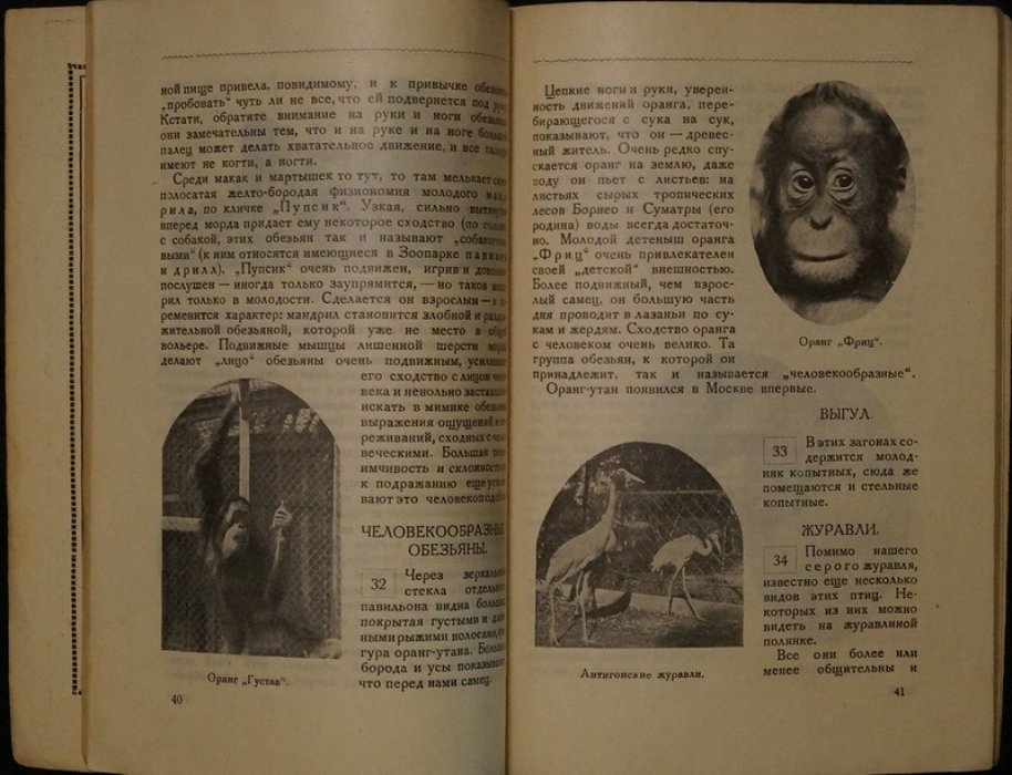 Путеводитель по Московскому зоопарку (1929): иллюстрированное описание животных и план территорий
