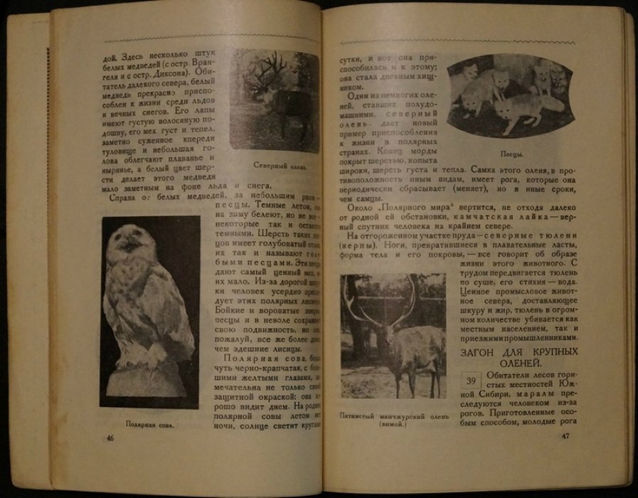 Путеводитель по Московскому зоопарку (1929): иллюстрированное описание животных и план территорий