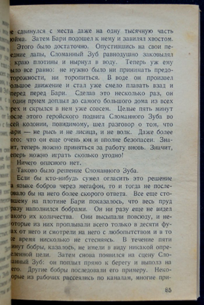Сын казана: приключения Бари, волчонка с собачьей долей крови