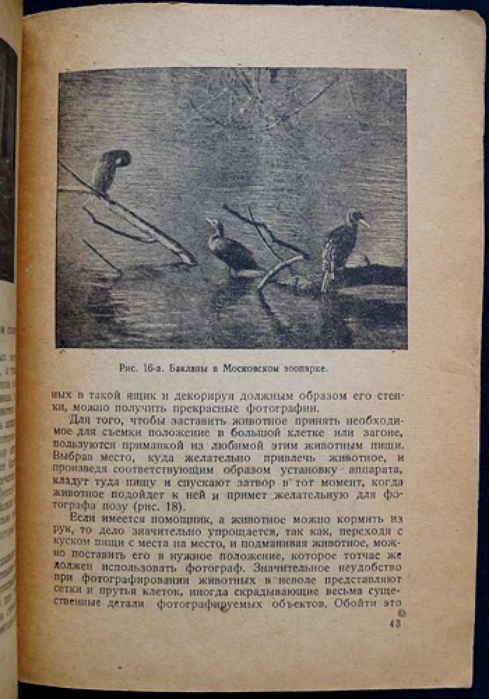 Охота с фотоаппаратом: практическое руководство охотника-фотографа