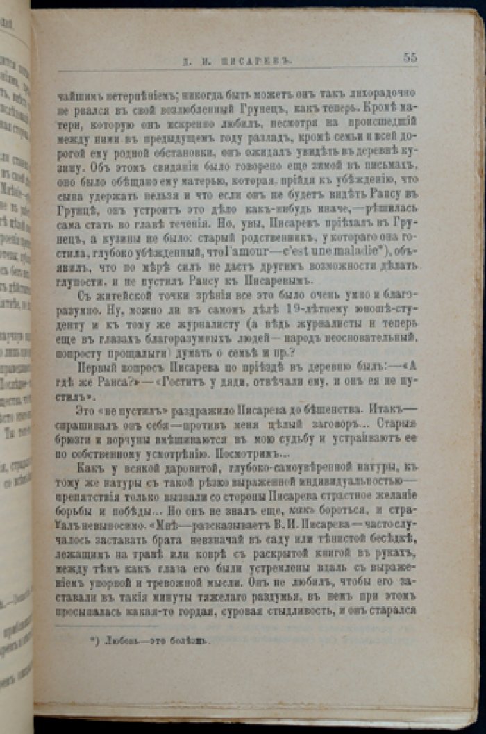 Д. И. Писарев: жизнь и литературная деятельность. Биографический очерк (серия «Жизнь замечательных людей»)