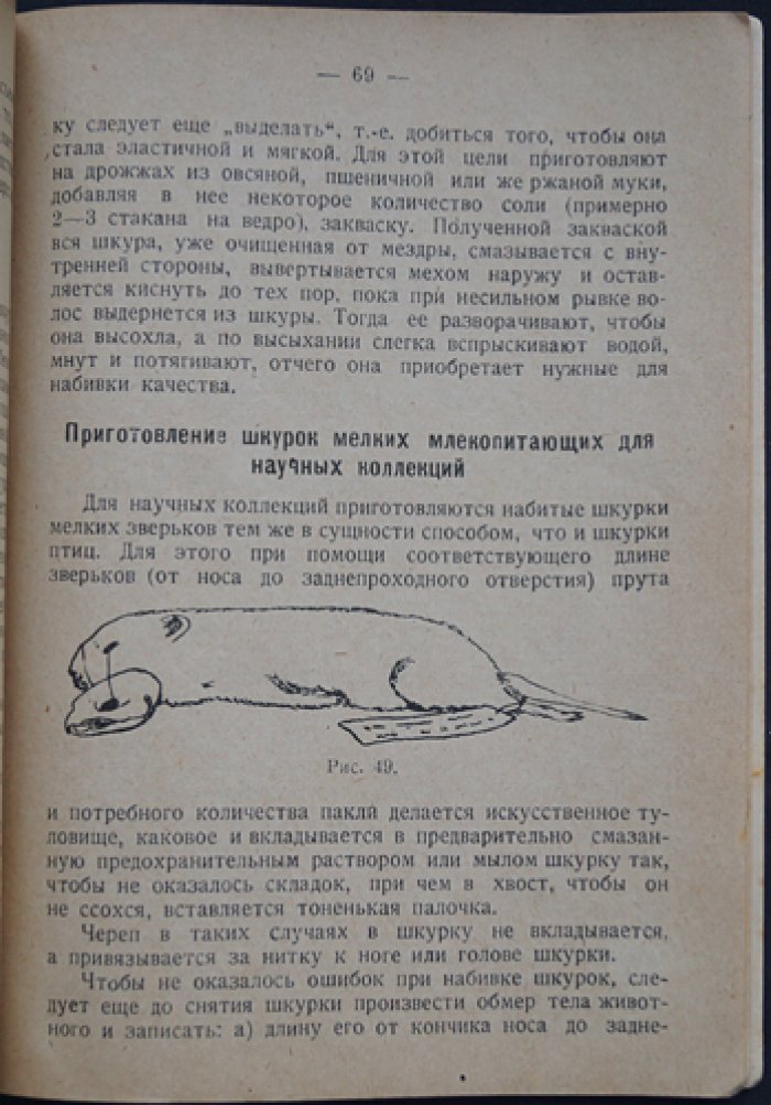 Н. Н. Демуар: Набивка чучел птиц и зверей, приготовление шкурок и скелетов (практическое руководство)