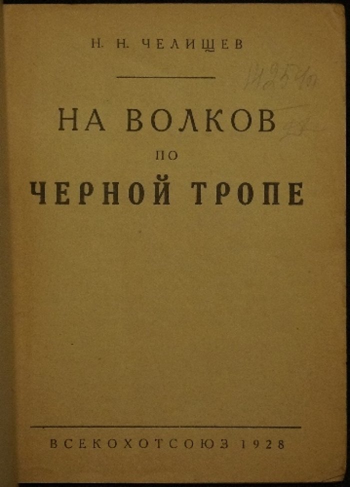На волков по чёрной тропе: охота на волков, ваба, гончие и подготовка облавы