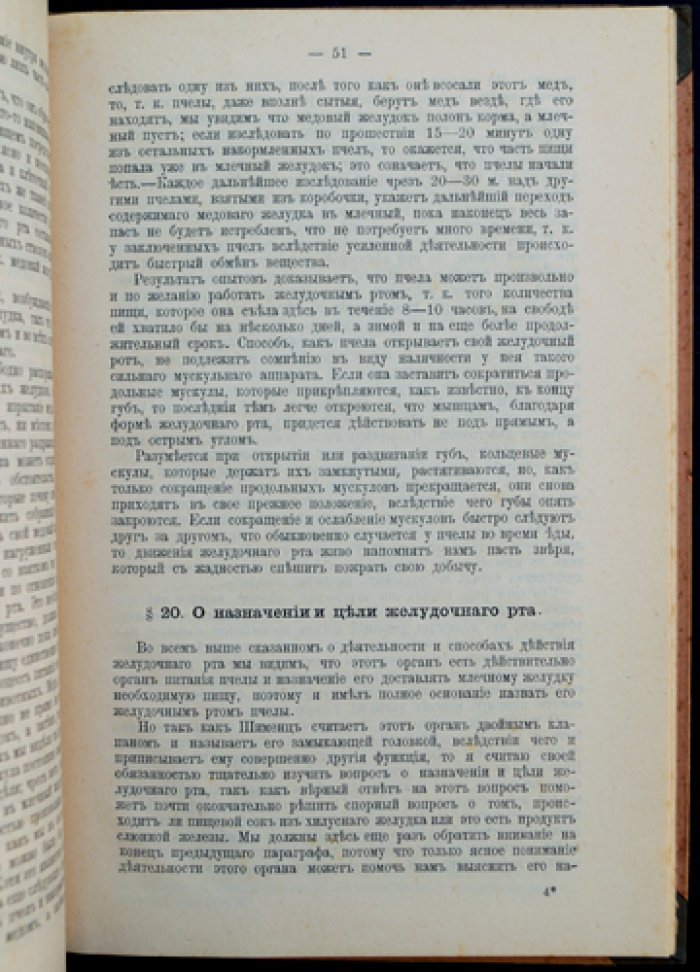 Питание пчелы: физиологический очерк (перевод с немецкого)