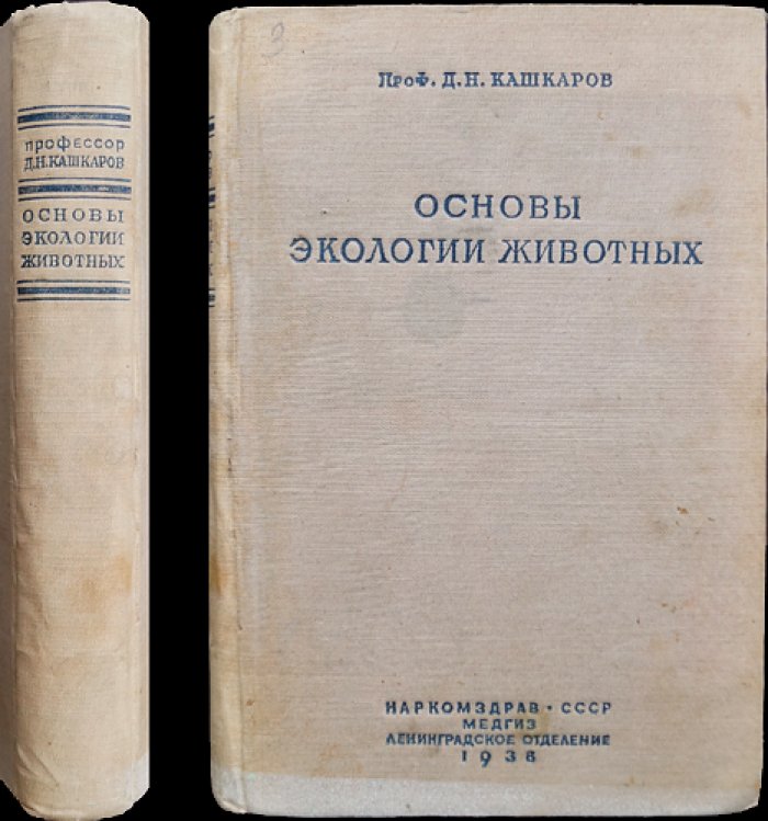 Основы экологии животных (вопросы теории и практики на отечественном материале)