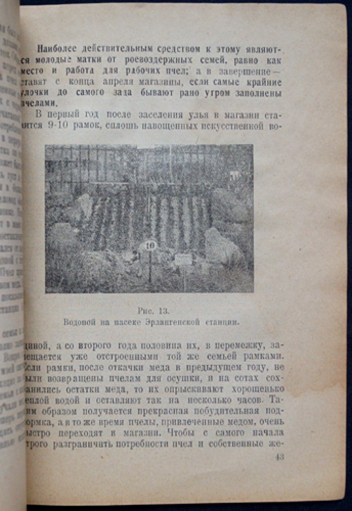 Энох Цандер (проф.). Улей и уход за пчёлами: практическое руководство по содержанию и разведению