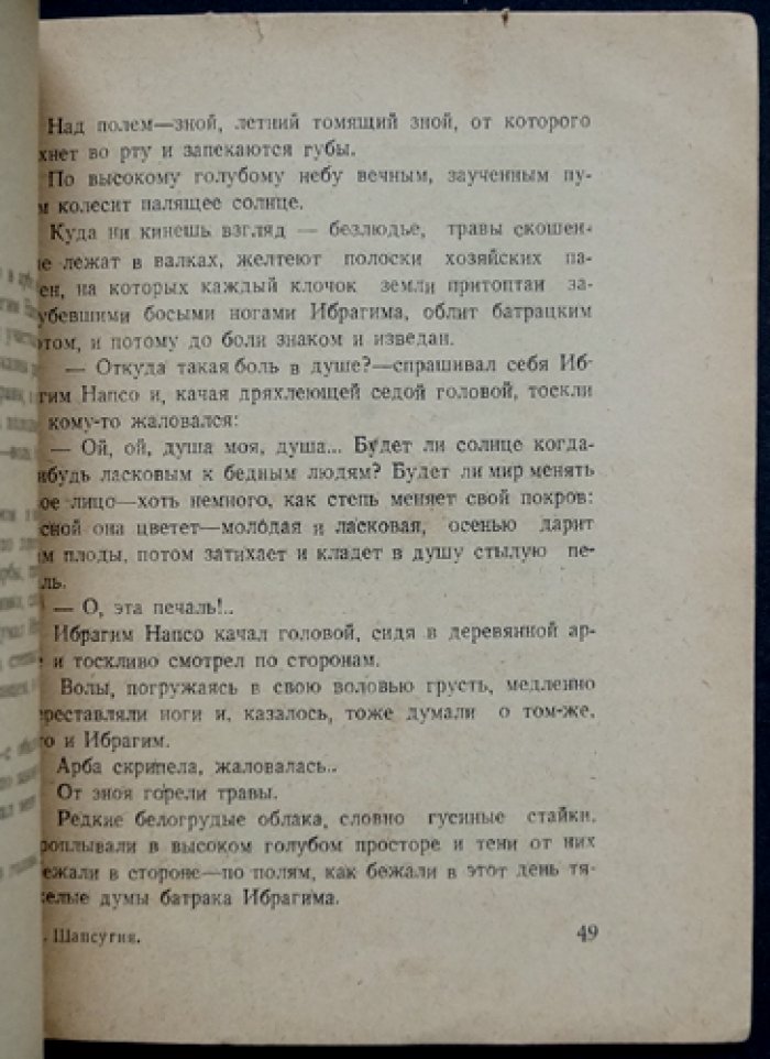 Шапсугия: исторические очерки о шапсугах Черноморья