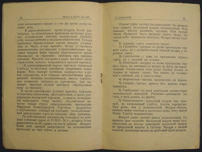 Белка и охота на нее (экономика, биология, шкурки, промысел)