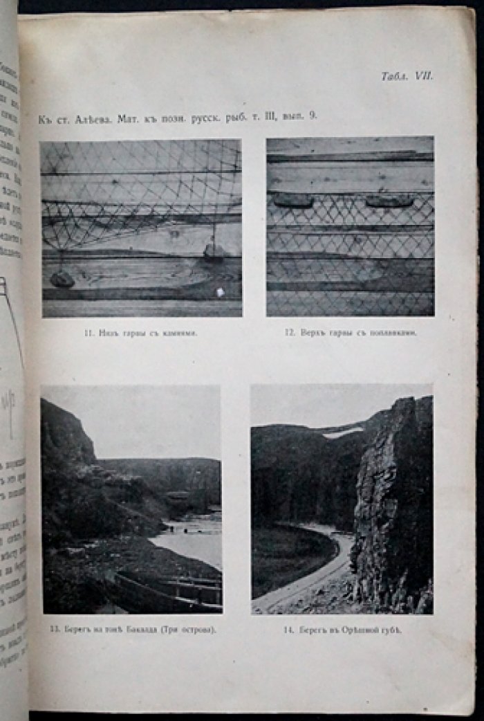 Материалы к познанию русского рыболовства. 1914 год. Том III, выпуск 9
