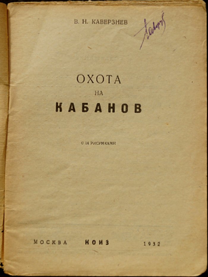 Охота на кабанов: образ жизни, болезни и охота (с 14 рисунками)