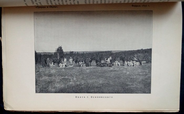 Природа и охота. Ежемесячный иллюстрированный журнал. 1899 год. Книга 2. Февраль