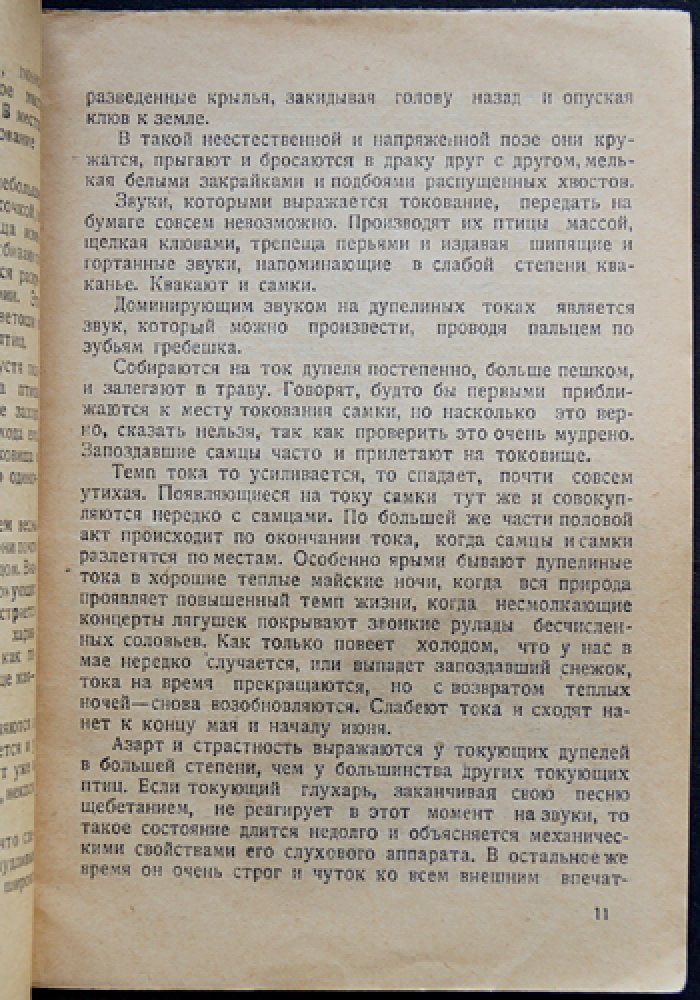 Охота на болотную дичь: дупель, бекас, гаршнеп и перепел