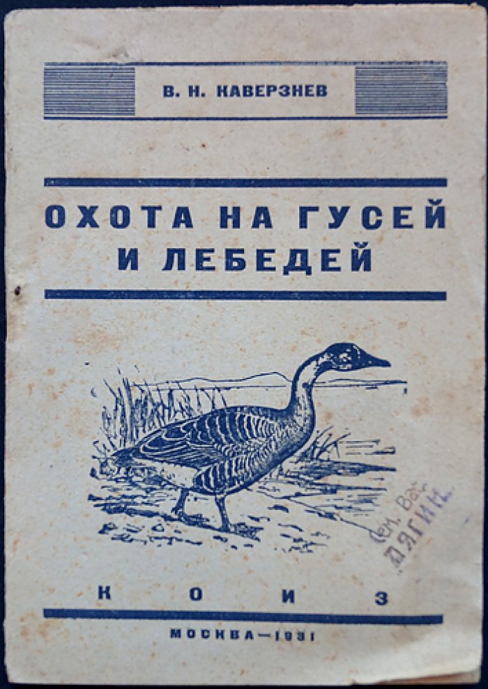 Охота на гусей и лебедей. Практическое руководство для охотников-любителей