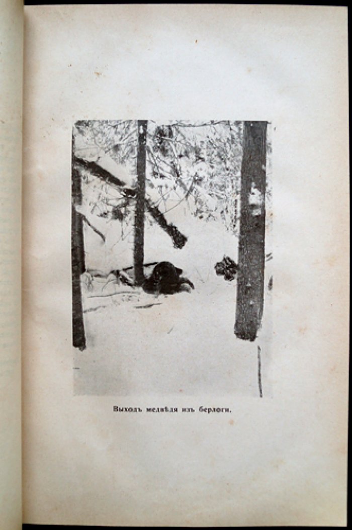 «Природа и охота». Ежемесячный иллюстрированный журнал. 1910 год, № VIII (август)