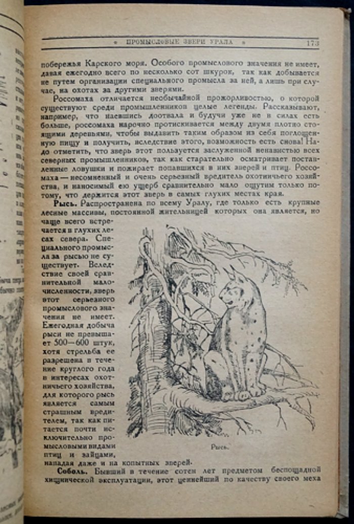 Природа Урала: сборник статей (1936)