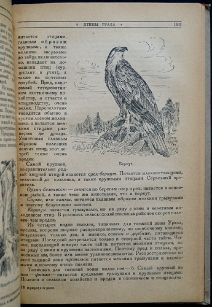 Природа Урала: сборник статей (1936)
