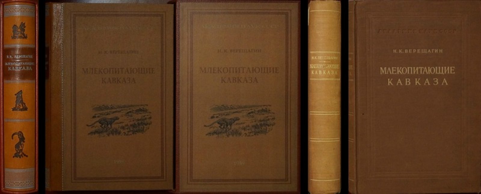 Млекопитающие Кавказа: история формирования фауны