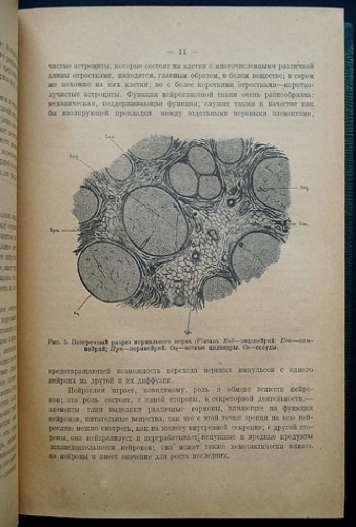 Учебник нервных болезней: анатомия, физиология, симптомология и лечение заболеваний нервной системы