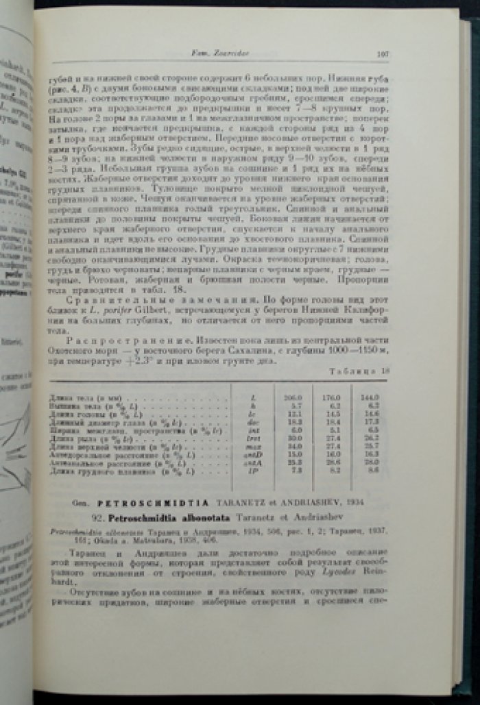 Рыбы Охотского моря. Материалы по ихтиофауне (Тихоокеанский комитет АН СССР, вып. VI)