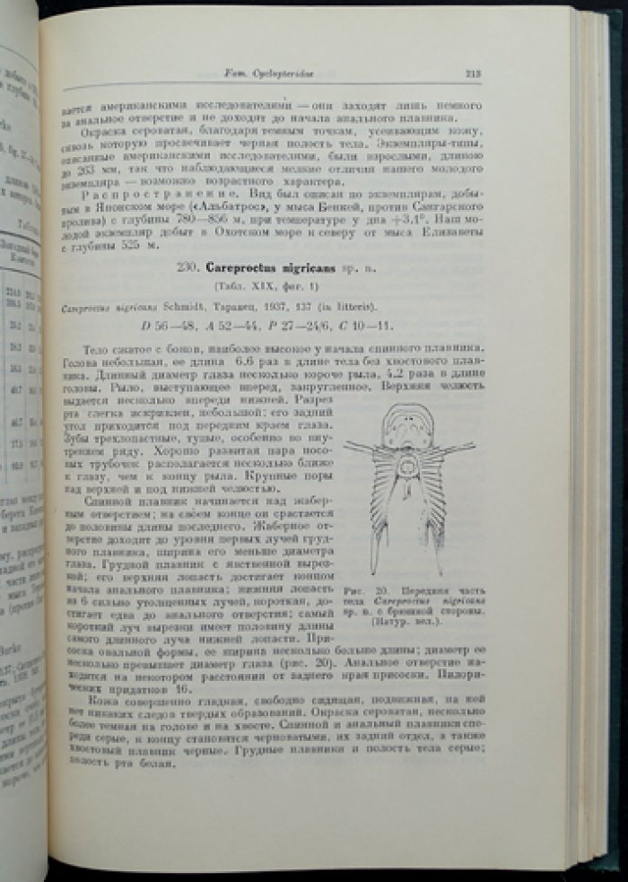 Рыбы Охотского моря. Материалы по ихтиофауне (Тихоокеанский комитет АН СССР, вып. VI)