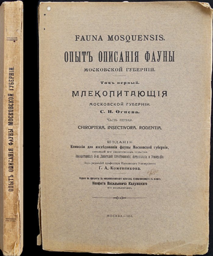 Огнев С. И. Опыт описания фауны Московской губернии. Том I. Млекопитающие Московской губернии. Часть 1: Chiroptera, Insectivora, Rodentia
