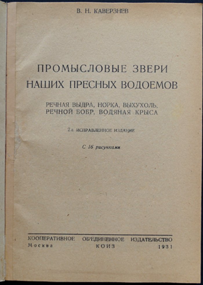 Промысловые звери пресных водоёмов СССР: речная выдра, норка, выхухоль, речной бобр и водяная крыса