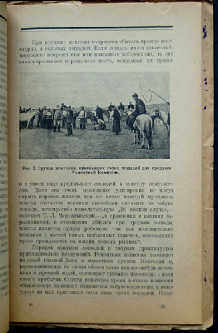 Очерк коневодства Монголии: с 28 рисунками (1923)