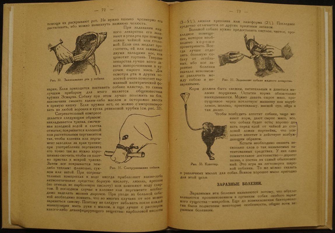 Первая помощь заболевшей собаке: конспект лекций проф. В. С. Михайлова (2-е исправл. и доп.)