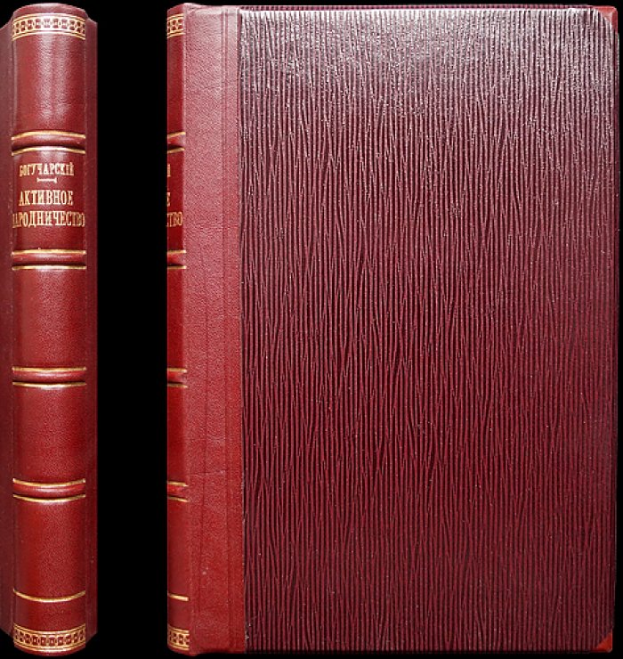 Активное народничество 1870-х годов: истоки, направления и «походы в народ»