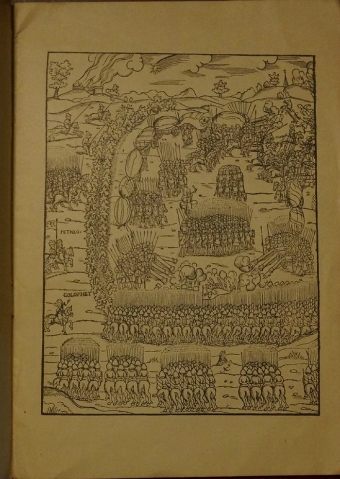 Луцкий замок Любарта Гедиминовича (редкое издание Г.К. Лукомского, 1917)