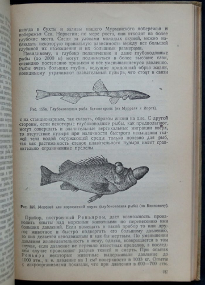 Промысловая ихтиология (в двух книгах) — труды В.К. Солдатова