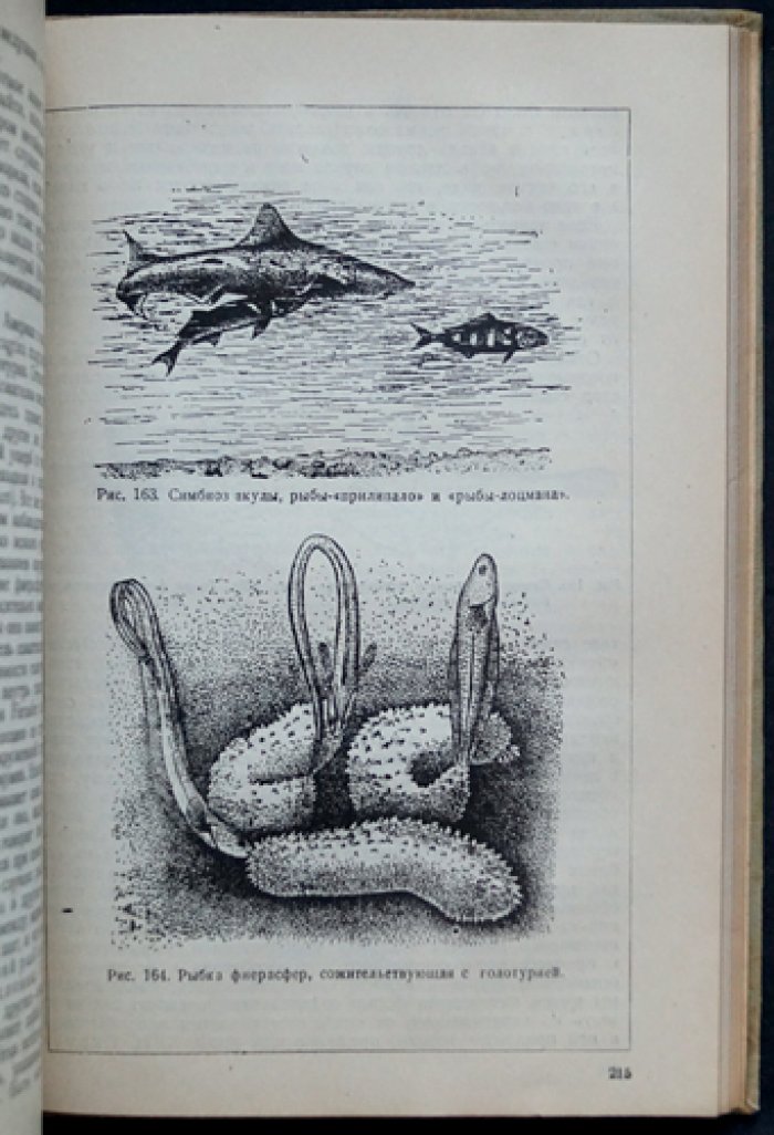 Промысловая ихтиология (в двух книгах) — труды В.К. Солдатова