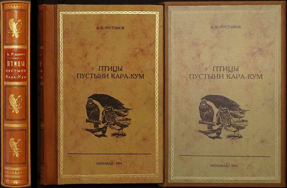 Птицы пустыни Кара-Кум: первое всестороннее исследование птиц Туркмении