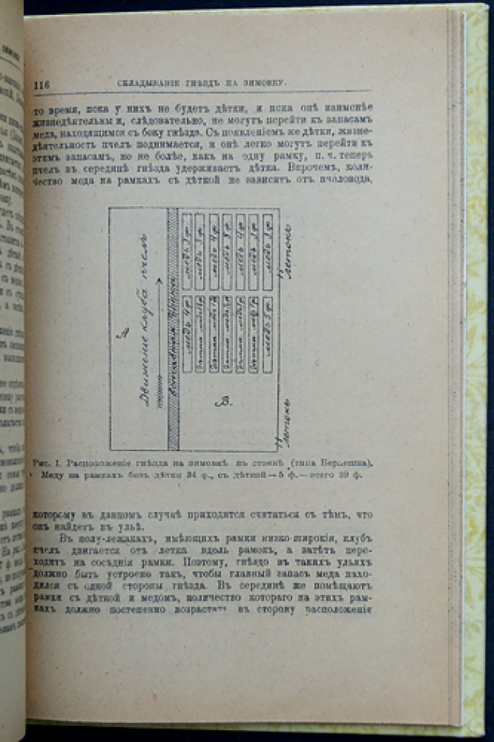 Главные пасечные работы: шестое, пересмотренное издание