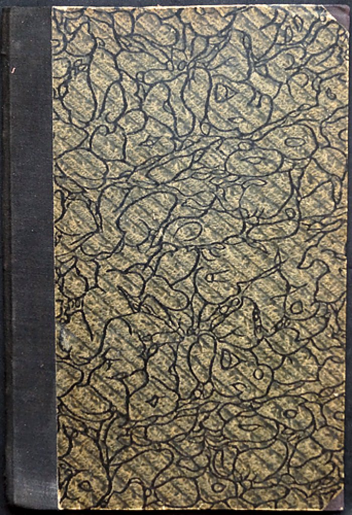 Англичанин о Русском Севере (сборник очерков и рассказов)