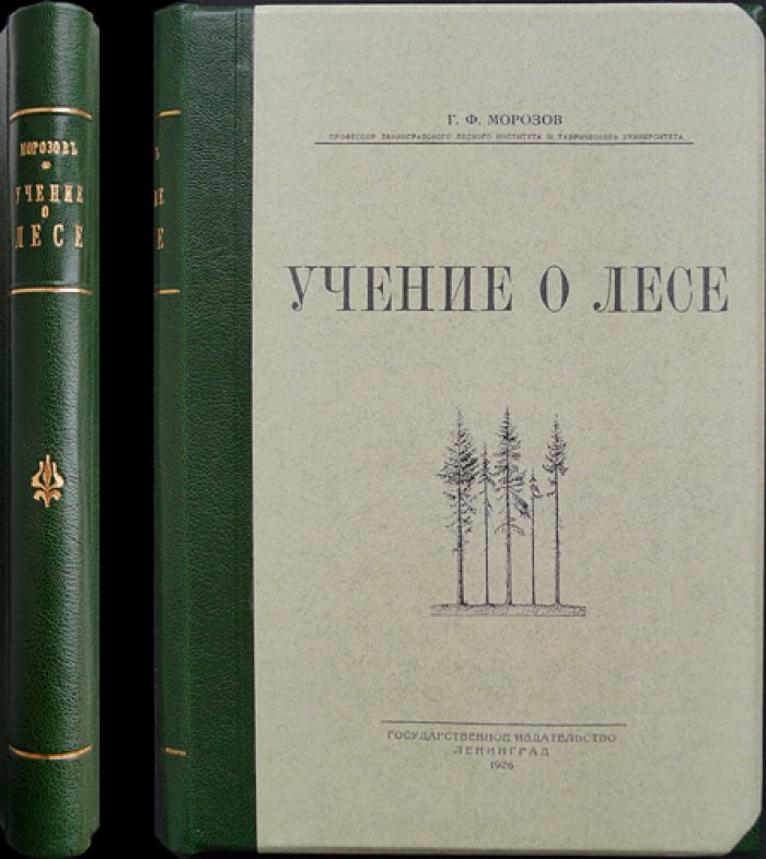 Учение о лесе. Ландшафтный подход к пониманию леса