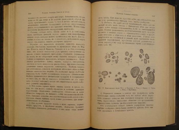 Карл Флюгге. Основы гигиены (для врачей, студентов и заведующих медико-санитарными учреждениями)