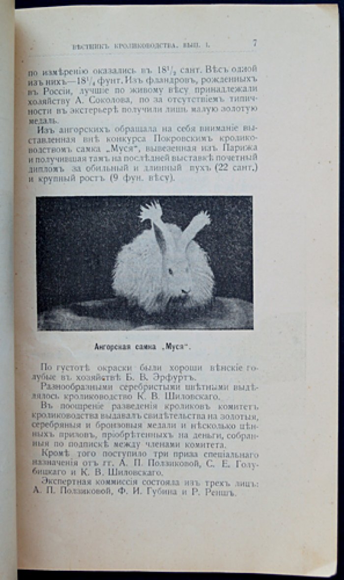 «Вестник кролиководства»: полный комплект за 1911/1912 год (12 номеров)